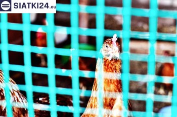 Siatki Koło - Siatka na woliery - zabezpieczenia ptaków w hodowli dla terenów miasta Koło